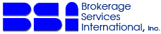 BSI Logo